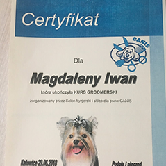 dog
